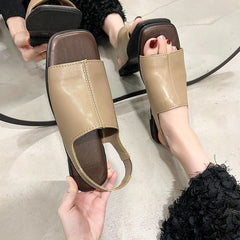Kaki